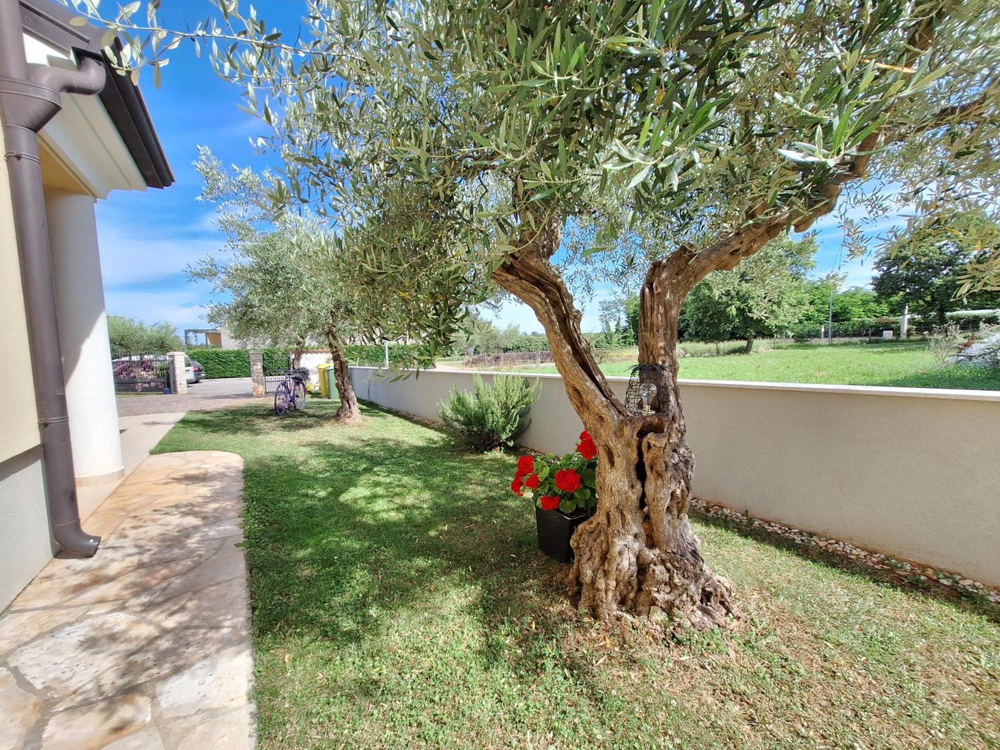 Apartmani Berber Babici Exterior photo